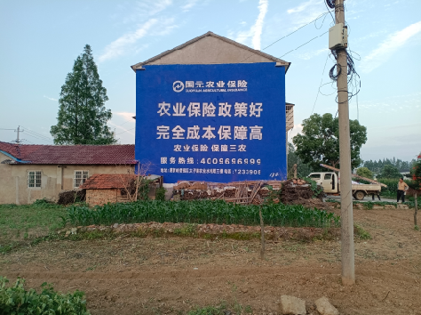 长垣墙体广告的优劣势你知道吗？